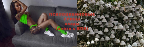 скорость Алзамай