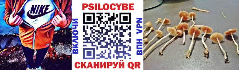 Псилоцибиновые грибы Psilocybine cubensis  omg онион  Отрадная 